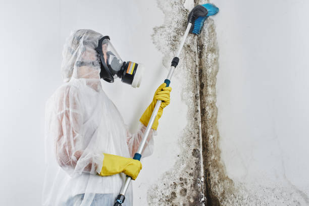 Best Mold Testing  in Spartanburg, SC