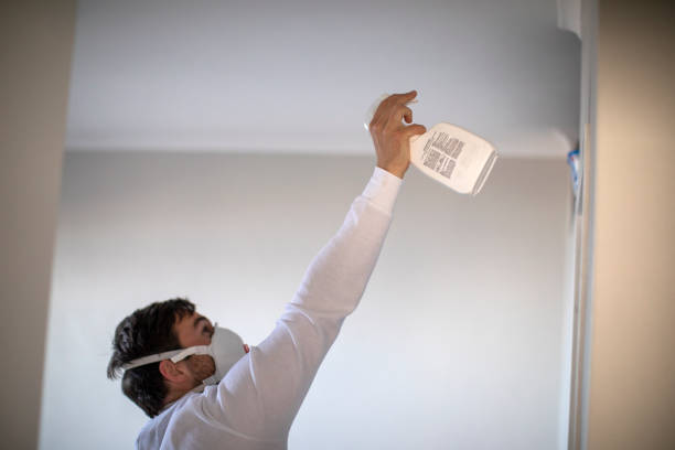 Best Attic Mold Removal  in Spartanburg, SC