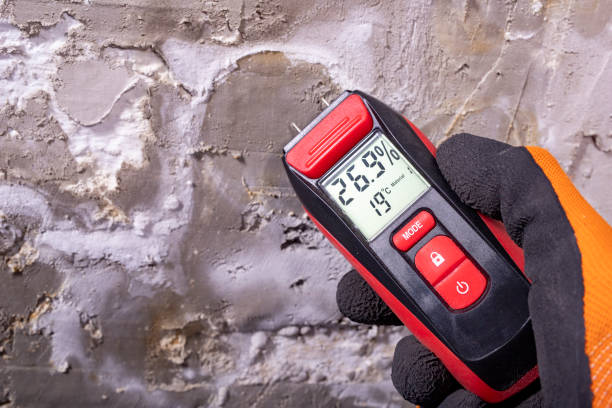 Best Home Mold Removal  in Spartanburg, SC