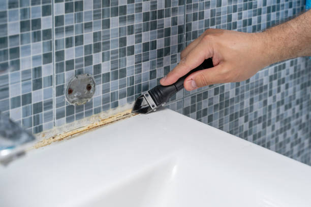 Best Commercial Mold Removal  in Spartanburg, SC