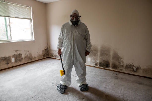Best Office Mold Removal Services  in Spartanburg, SC